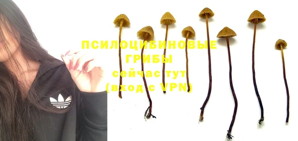 гидра Алзамай
