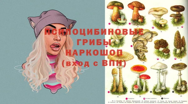 дмт Алексин
