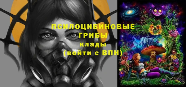 дмт Алексин