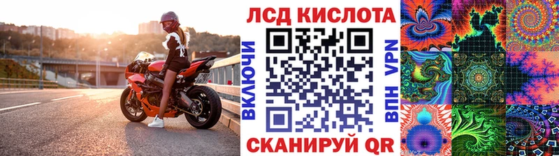 KRAKEN зеркало  Гаджиево  Марки NBOMe 1,8мг 