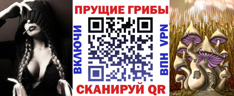 Псилоцибиновые грибы Magic Shrooms  Гаджиево 
