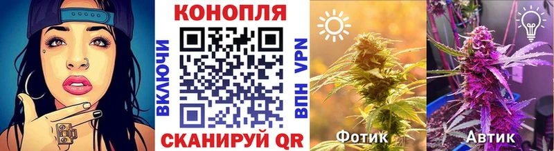 Каннабис MAZAR  где продают   Гаджиево 